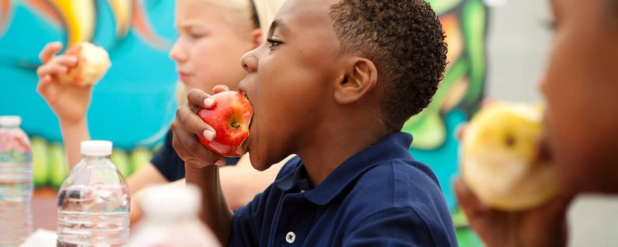 Tips for School Lunches